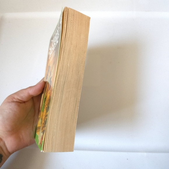 Camber the Heretic Paperback Book - Picture 5 of 8